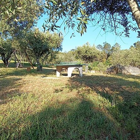 Quinta Da Pedra Mija Guest House Santar Exterior foto