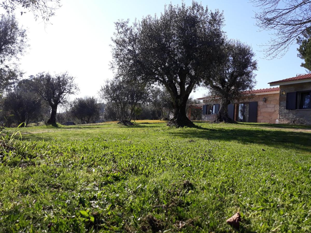 Quinta Da Pedra Mija Guest House Santar Exterior foto