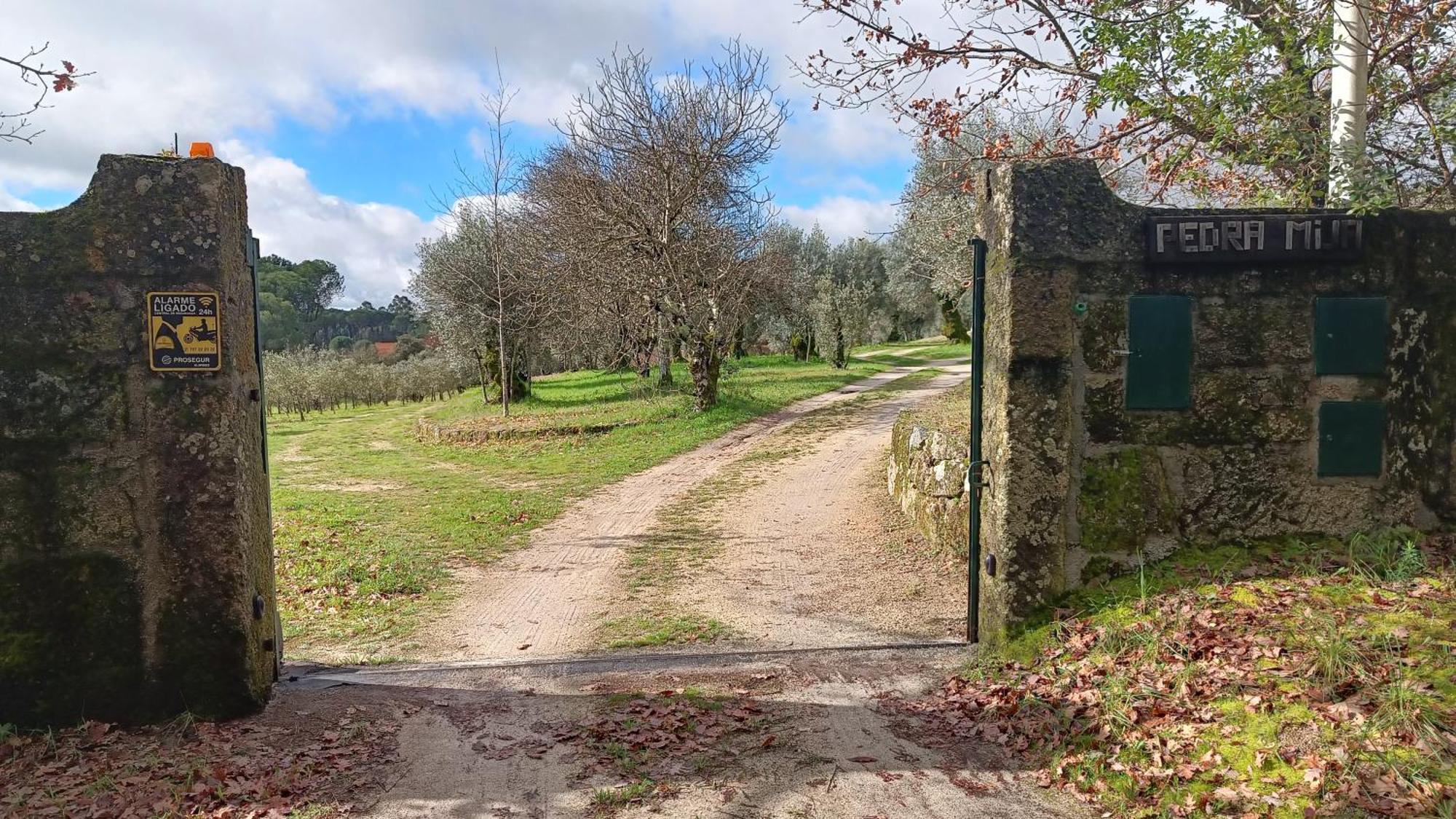 Quinta Da Pedra Mija Guest House Santar Exterior foto