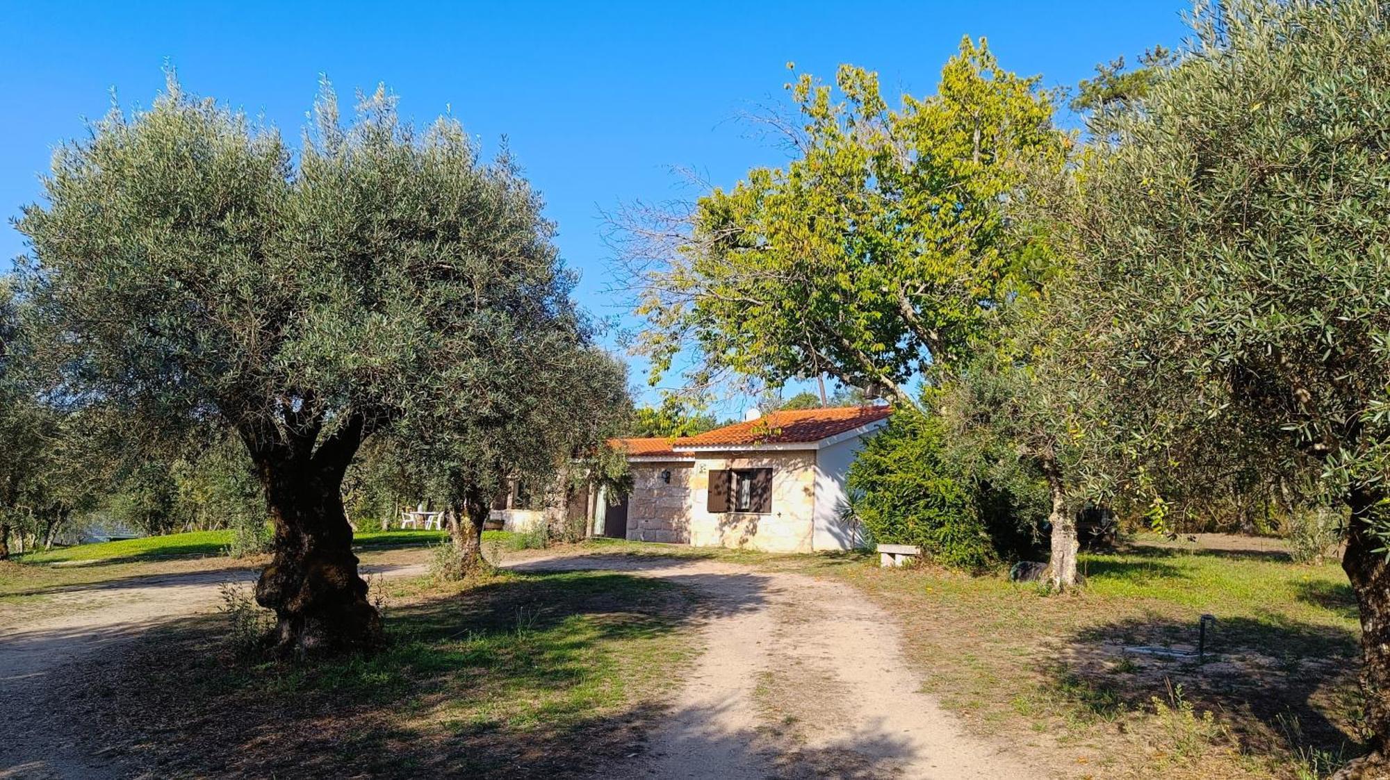 Quinta Da Pedra Mija Guest House Santar Exterior foto