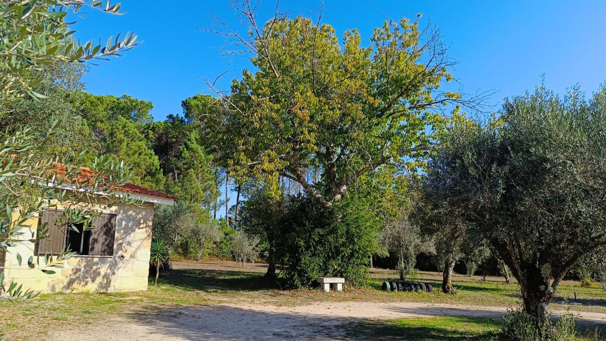 Quinta Da Pedra Mija Guest House Santar Exterior foto