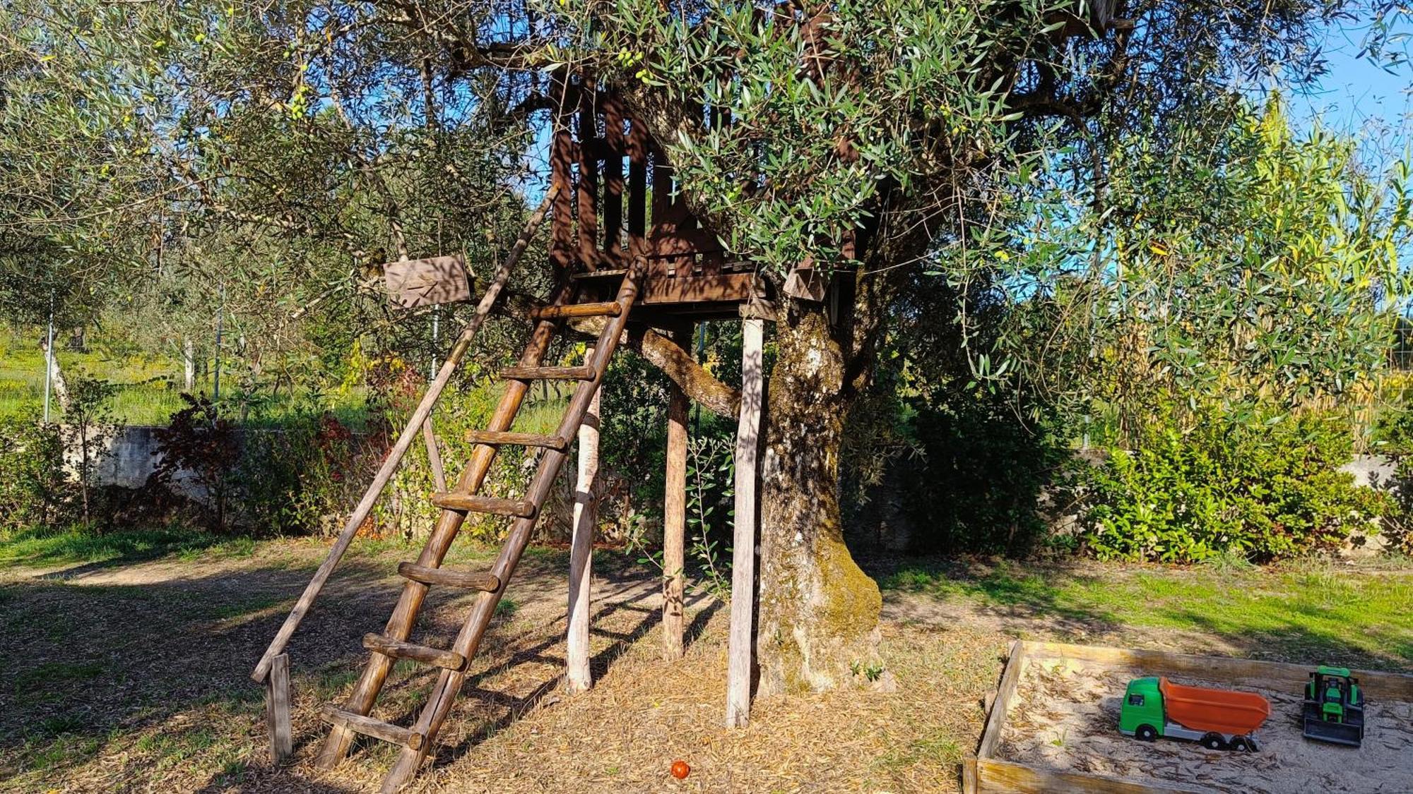 Quinta Da Pedra Mija Guest House Santar Exterior foto