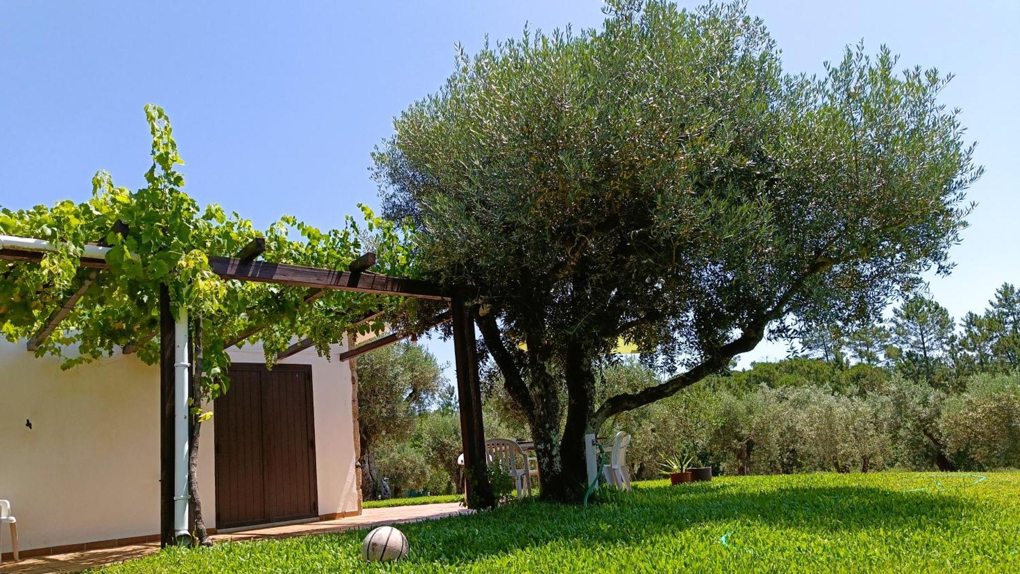 Quinta Da Pedra Mija Guest House Santar Exterior foto